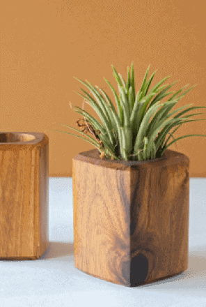 Art And Soil Bangalore W4ZUFRJIWHw Unsplash 1
