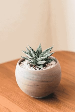 Henry Co FObU8l6PyLA Unsplash